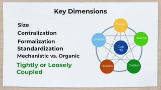 Innovation Strategy Organizing for Innovation [upl. by Etnud159]