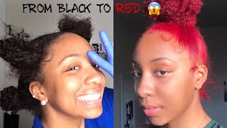 HOW TO DYE YOUR HAIR WITHOUT BLEACH VERY EASY [upl. by Tarttan]