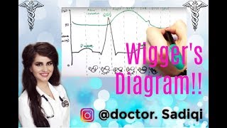 Wiggers Diagram EXPLAINED WITHIN 3 MINUTES [upl. by Annirak]