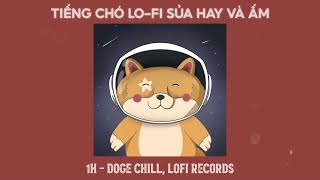 1H Tiếng chó LoFi sủa cực chill và ấm  Lofi Records Doge Chill 2 [upl. by Mcnelly65]