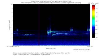 Powerful Sonar Pings and Sweeps in the Strait of Georgia [upl. by Neltiak]