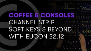 Channel Strip Soft Keys and Beyond with EUCON 202212 [upl. by Aititil526]