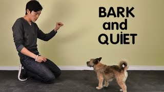 Teach Dog to Stop Barking  Bark and Quiet on Cue [upl. by Chaworth765]