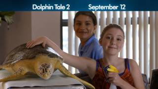 Dolphin Tale 2  TV Spot  Wonder  Now Playing In Theatres [upl. by Niram]