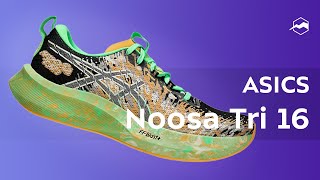 Кроссовки ASICS Noosa Tri 16 Обзор [upl. by Aitsirk661]