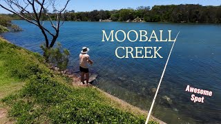 Fishing Mooball Creek and More  Land Based Fishing [upl. by Tamarah]