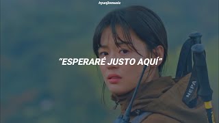 JIN BTS  Yours SUB ESPAÑOL Jirisan OST Part4 MV Oficial [upl. by Yrome]