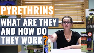 Pyrethrins  What are They and How do They Work [upl. by Malliw777]