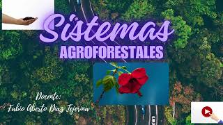 competencias digitalessistemas agroforestales [upl. by Furlong]