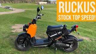 STOCK HONDA RUCKUS TOP SPEED WITH 190LB RIDER [upl. by Lower5]