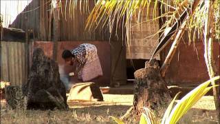 Madagascar  Chapitre 1  Analalava [upl. by Auoy]