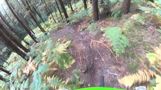 Coombs woods Armathwaite MTB [upl. by Llain552]