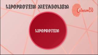 Lipoprotein • structure function amp classification Biochemistry [upl. by Airdnahs]