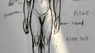 Improve your drawing skills drawing sketch arttutorial draw fineart artvideo artist [upl. by Enaz]