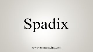 How To Say Spadix [upl. by Luke]