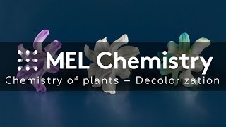 “Decolorization“ from the “Chemistry of plants“ set [upl. by Lledal]