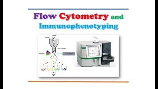 Immunology 🔤  Flow Cytometry and Immunophenotyping [upl. by Kcirret]