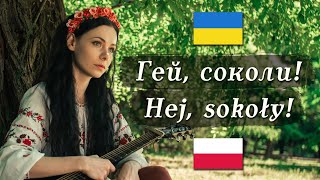 🇺🇦 🇵🇱 Гей соколи  Hej sokoły – UkrainianPolish folk song [upl. by Adiahs]