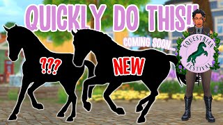 DO THIS BEFORE EQUESTRIAN FESTIVAL Secret NEW HORSES CODES dressage pets outfits [upl. by Nussbaum968]