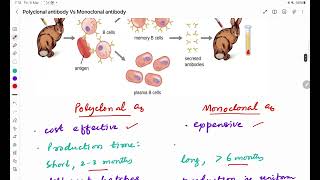 Polyclonal Vs Monoclonal antibodies [upl. by Brnaby]