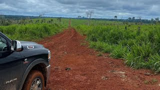 FAZENDA 2MIL ALQUEIRES À VENDA EM NOVO PROGUESSOPA [upl. by Gawain749]