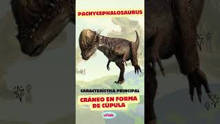 Dinosaurios y sus Características Especiales 🦕🦖 Parte 2 [upl. by Dett]