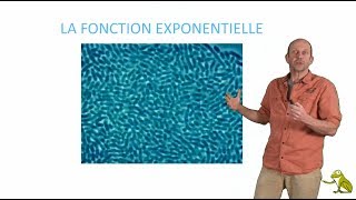 La fonction exponentielle [upl. by Ruzich]