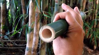 Bamboo Flute  How To Make A Flute by bamboo [upl. by Norman]