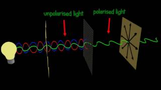 Polarization  Polarizer  Explained and animated 3d [upl. by Eidnarb760]