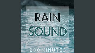 Rain Sound Pure White Noise for Natural Deep Sleep Inducing [upl. by Relyuc]