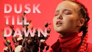 ZAYN  Dusk Till Dawn ft Sia  cover by Arina [upl. by Aurie]