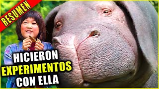 👉 resumen SUPER CERDA ES CRIADA POR UNA NIÑA DURANTE 10 AÑOS Y LAS SEPARAN  OKJA  Ahora te cuento [upl. by Melnick]