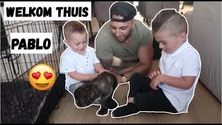 EINDELIJK ONZE PUPPY OPHALEN 🐕❤ VLOG 86  FAMILIE VLOGGERS [upl. by Mcwilliams]