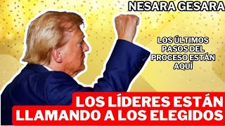 🚨¡EL MOMENTO HA LLEGADO🚨Los Líderes empiezan el Protocolo FINAL  El Pago del Material Numismático [upl. by Freida]