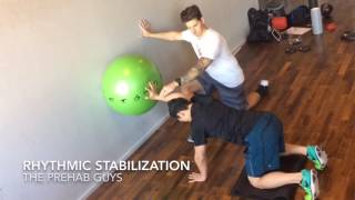 Quadruped Rhythmic Stabilization [upl. by Elie]