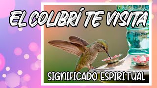 ¡¡¡VER un COLIBRÍ ¿Qué SIGNIFICA que un COLIBRÍ te VISITE [upl. by Doig172]