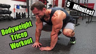 Intense 5 Minute At Home Tricep Workout 2 [upl. by Miru]