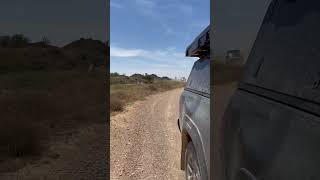 Trail driving in the Pyrenees offroad 4x4 landrover greenlaning defender [upl. by Fredelia]