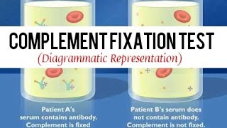 Complement Fixation Test  Immunology  KaizmaExamTime [upl. by Christal]