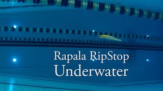 Rapala RipStop игра под водой [upl. by Clippard767]