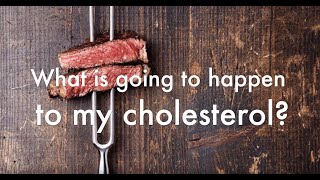 Dr Shawn Baker MD  Carnivore Diet and Cholesterol [upl. by Ahsemaj]