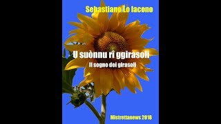 Servizio Telemistretta Odissea nella steppa Il sogno dei girasoli [upl. by Negam]