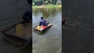 Amazing river fishing [upl. by Saphra]