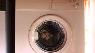 Bosch Tumble Dryer WTA2000  Loading starting and drying [upl. by Seif]