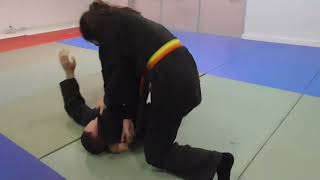 Examen Hapkido Moo Hak Kwan Alicante Artes Marciales [upl. by Nnairahs742]