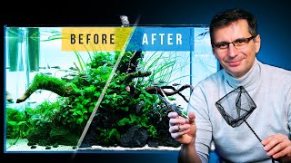 Fixing a CLADOPHORA ALGAE Infested Aquarium [upl. by Cary264]