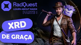 √ RADIX RADQUEST  Ganhe XRD de graça aprendendo TUDO sobre a Radix [upl. by Dnumsed352]