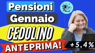 PENSIONI 👉 ANTEPRIMA CEDOLINO GENNAIO CON AUMENTI e altro❗️Ecco cosa conterrà [upl. by Sivle]