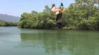 A test of Brahminy kite and black kites hunting skills [upl. by Ecinuahs926]