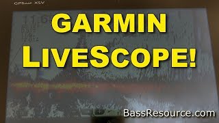 Garmin Panoptix LiveScope Real Demo  Bass Fishing [upl. by Frankel]